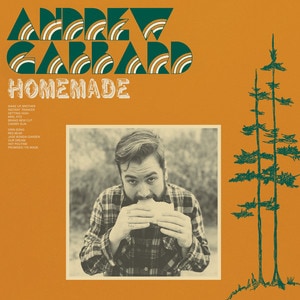 Andrew Gabbard - Homemade album cover