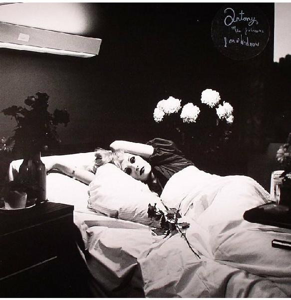 Antony and the Johnsons - I Am a Bird Now album cover
