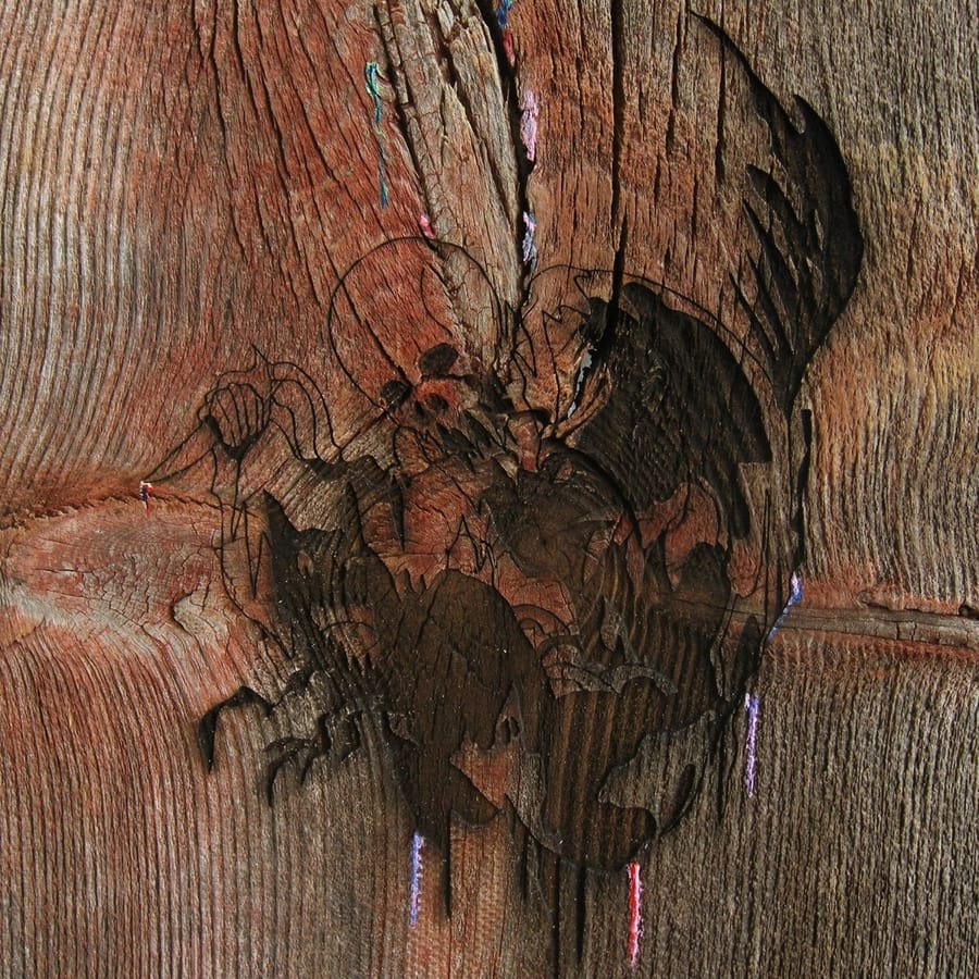 Avey Tare's Slasher Flicks - Enter the Slasher House album cover