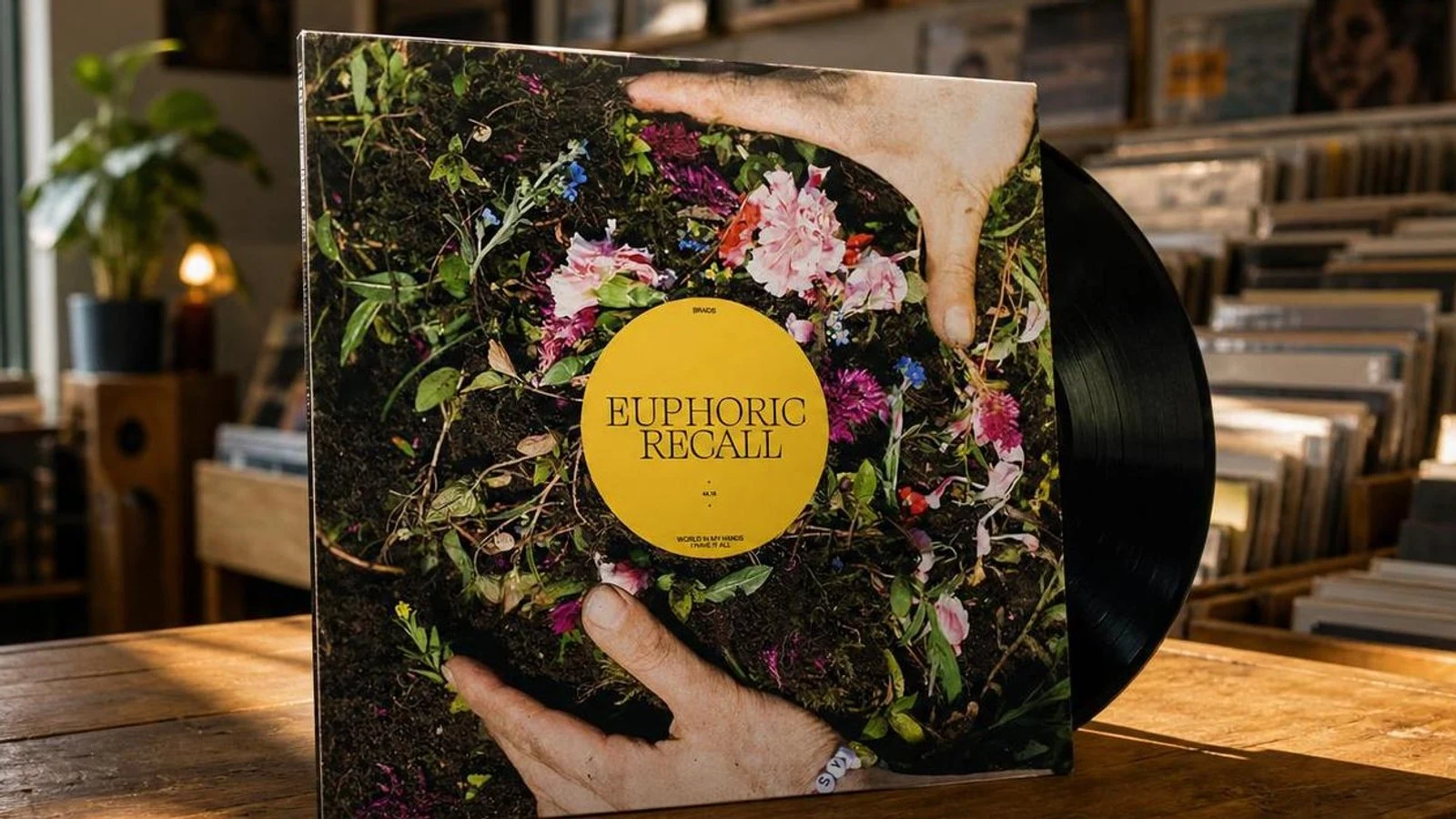 Braids - Euphoric Recall album cover