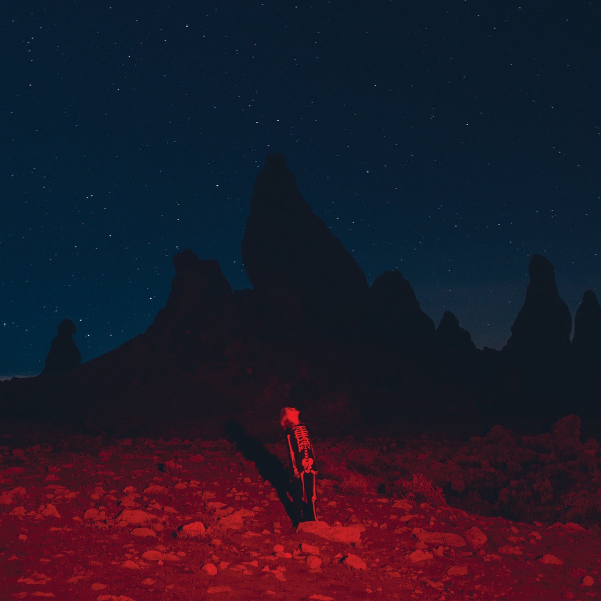 Phoebe Bridgers - Punisher album cover