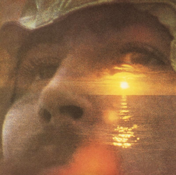David Crosby - If I Could Only Remember My Name album cover