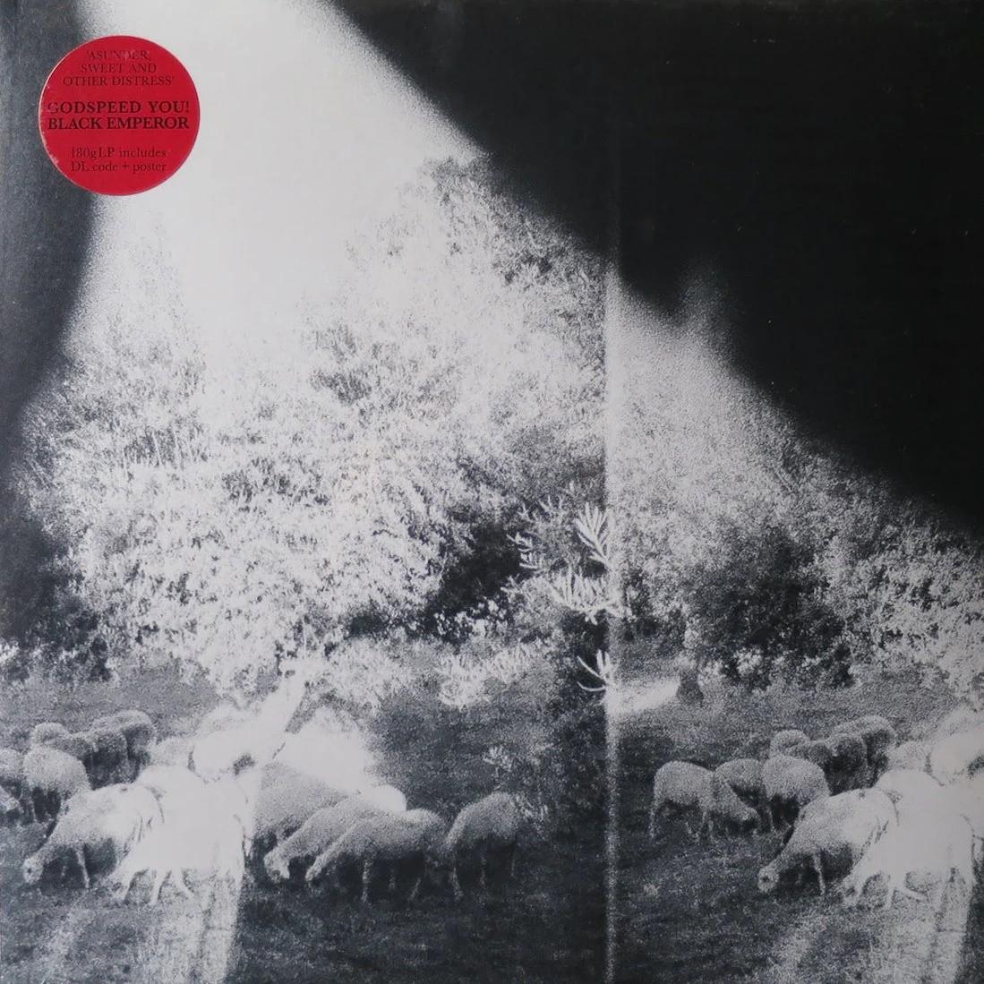 Godspeed You! Black Emperor - Asunder, Sweet and Other Distress album cover
