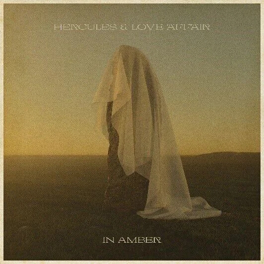 Hercules & Love Affair - In Amber album cover