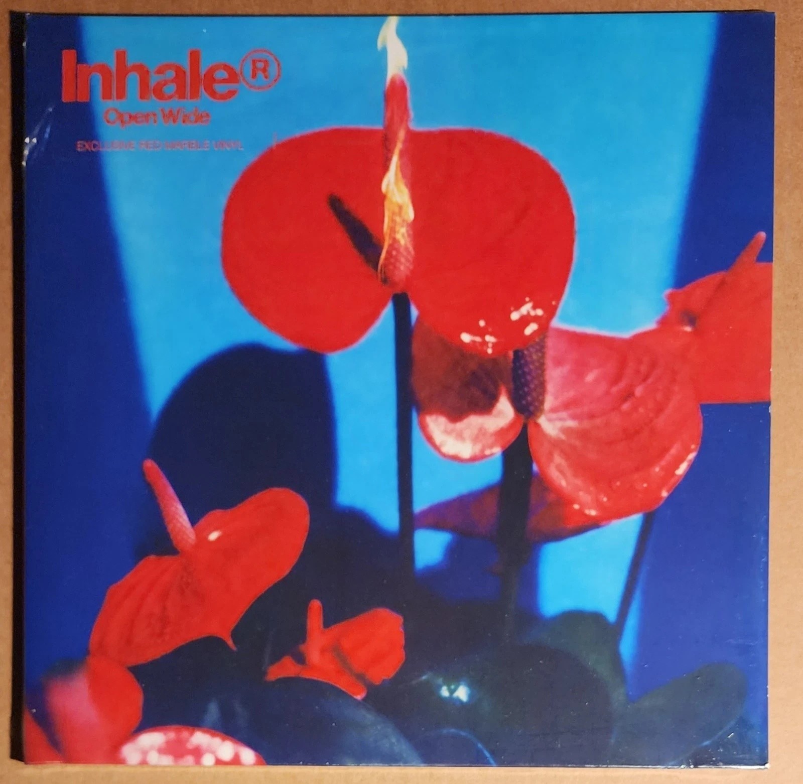 Inhaler - Open Wide album cover
