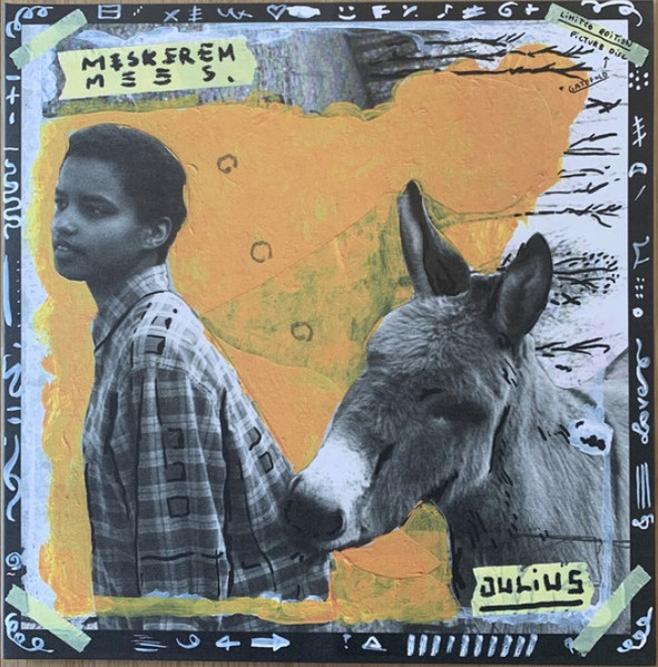 Meskerem Mees - Julius album cover