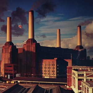 Pink Floyd - Animals album cover