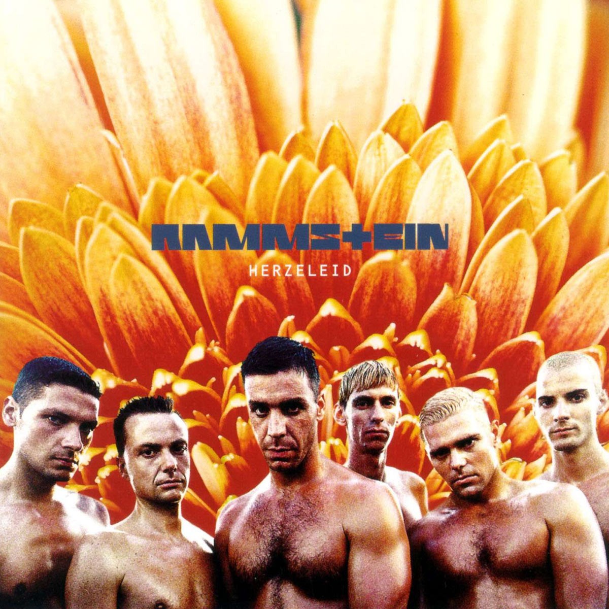 Rammstein - Herzeleid album cover