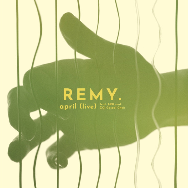 Remy van Kesteren - April album cover