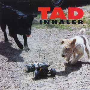 TAD - Inhaler album cover