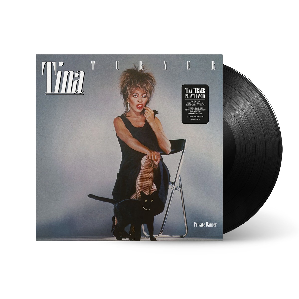 Tina Turner - Private Dancer album cover
