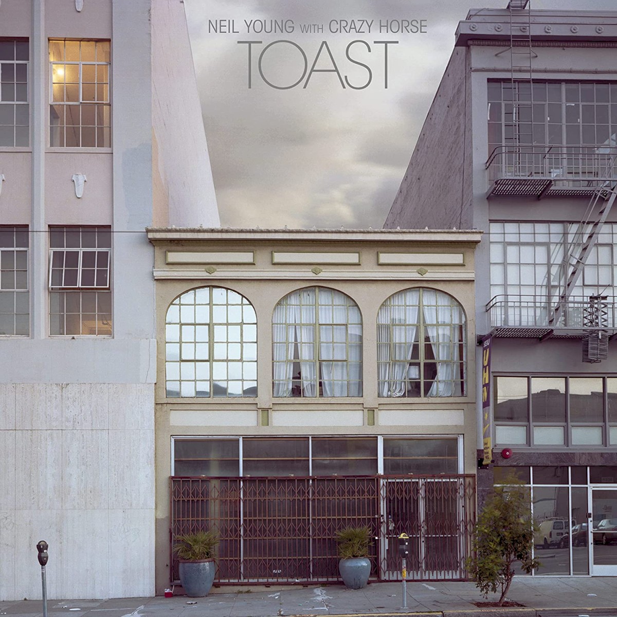 Neil Young & Crazy Horse - Toast album cover