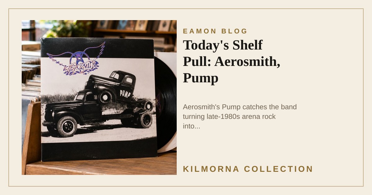 Aerosmith Pump vinyl sleeve standing on a warm record shop counter beside a crate and turntable.