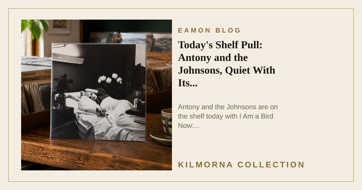 Antony and the Johnsons I Am a Bird Now vinyl record staged on the Kilmorna record shop counter